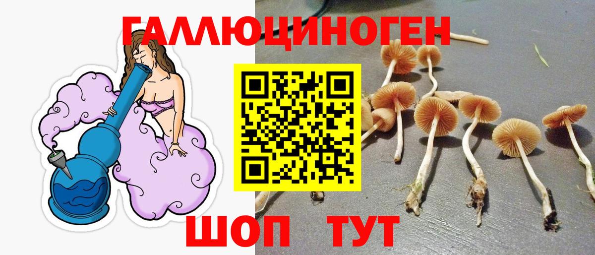 Галлюциногенные грибы прущие грибы  Галлюциногенные грибы Psilocybe  Вход с VPN  Строитель 